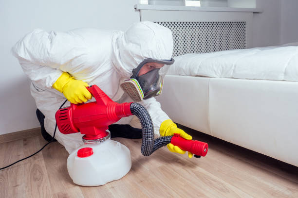 Best Bed Bug Extermination  in Hobe Sound, FL
