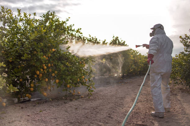 Hobe Sound, FL Pest Control Company