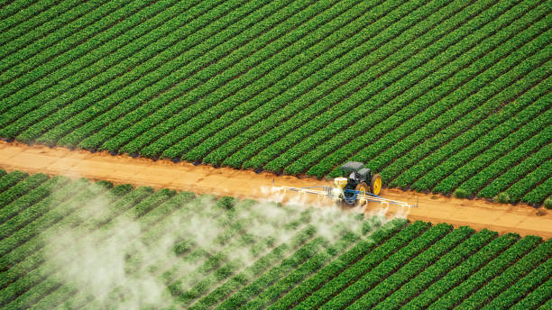 Best Termite Control Services  in Hobe Sound, FL