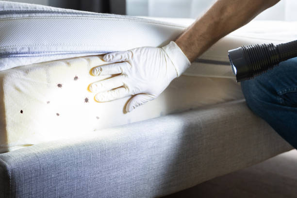 Best Cockroach Control Services  in Hobe Sound, FL