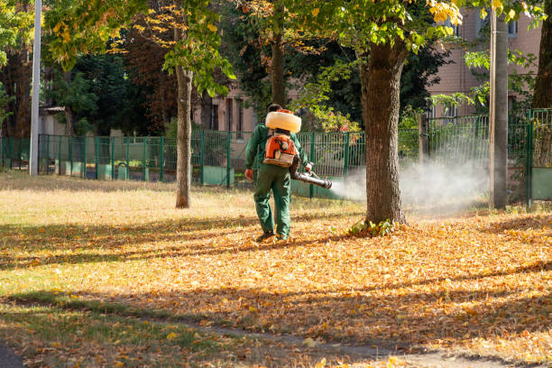 Best Pest Removal Services  in Hobe Sound, FL